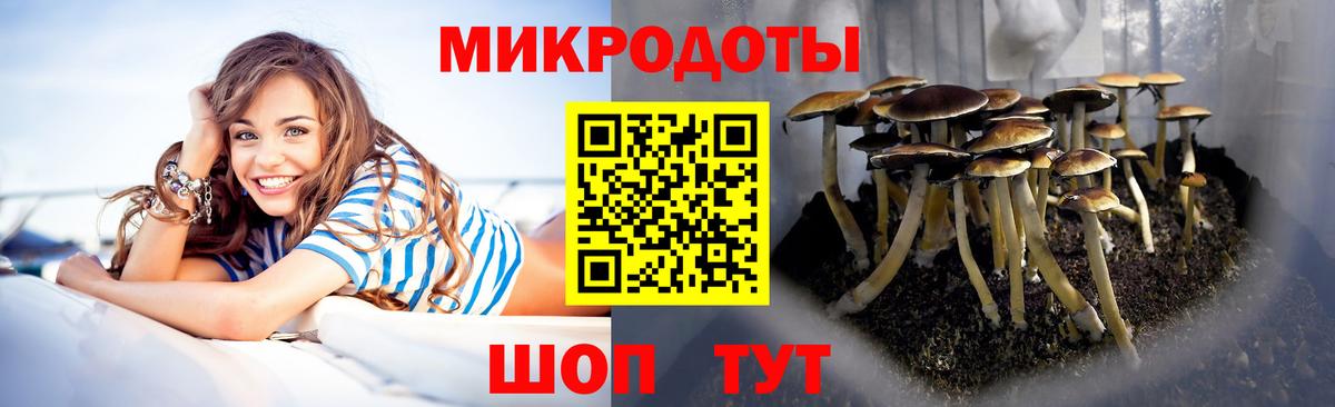 Галлюциногенные грибы Magic Shrooms Старая Купавна